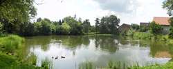 Močovice Močovice
