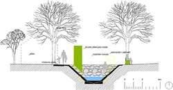 Stadice – náves – řez Stadice – náves – řez